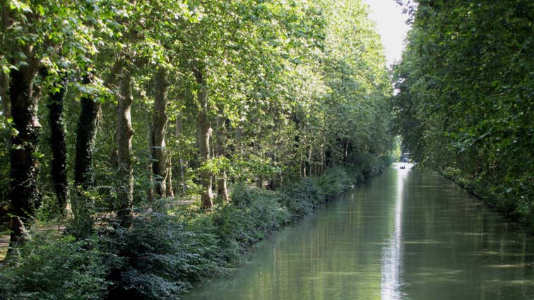 Canal latéral à la Garonne