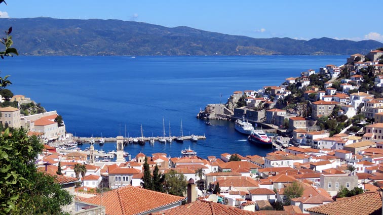 Hydra