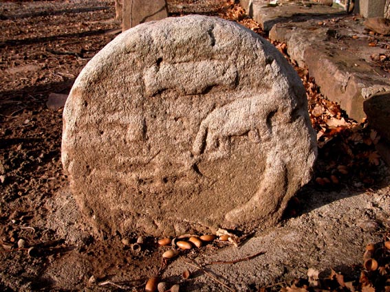 Stèle discoïdale représentant un boeuf tirant une charrue, et un joug placé au dessus. Probablement une lune, en bas à droite.