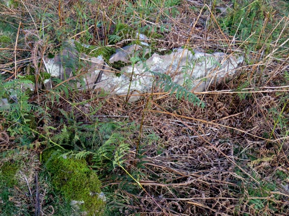 Les restes du dolmen d'Etxeberriko Ardiborda