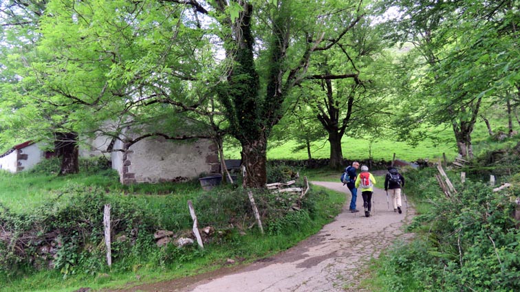 Nous tournons à droite pour emprunter une petite route qui monte entre les arbres, laissant la bergerie "Egurzeko borda" sur notre gauche.