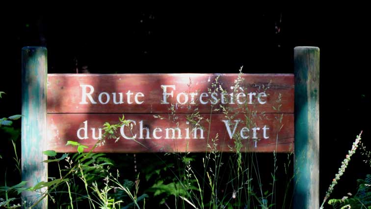 Panneau de la "route forestière du chemin vert"
