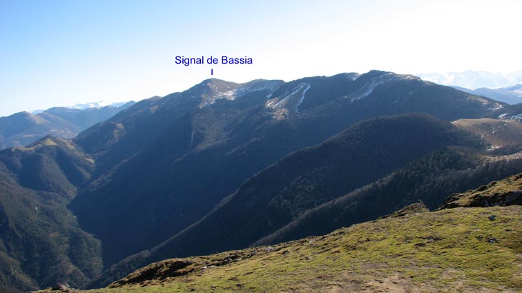 Le Signal de Bassia n'a pas de neige...