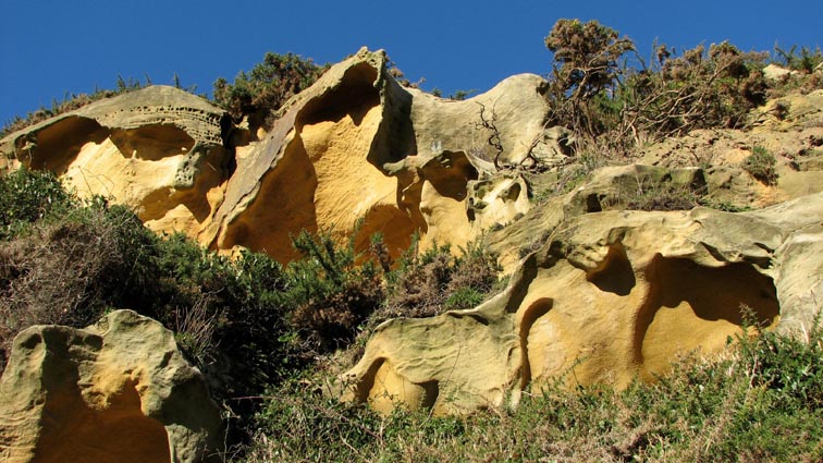 Encore de superbes taffonis dans les roches gréseuses qui nous entourent.