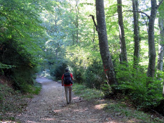 Cette piste qui chemine en forêt nous offre un merveilleux retour ombragé.