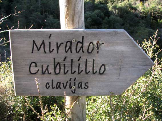 Un petit panneau de bois nous indique sur la droite « Mirador Cubilillo – clavijas ».