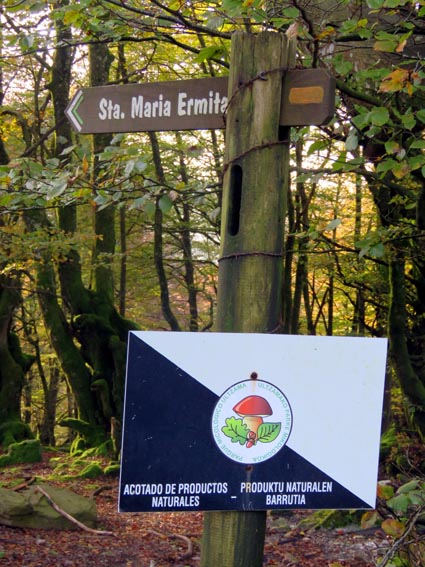 Un panneau en forme de flèche indique "Sta. Maria Ermita".