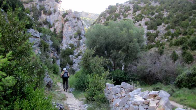 Le sentier longe le lit du río, se faufilant entre le pied des falaises et un mur en pierres sèches.
