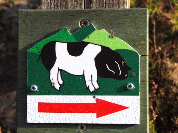 Petit panonceau représentants un cochon, car nous sommes sur le « Sentier de découverte du Porc Basque ».