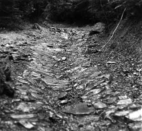 Chemin montant de Laruns en direction d'Arrioutort. Photo prise par Jean Pierre Dugène en 1977.