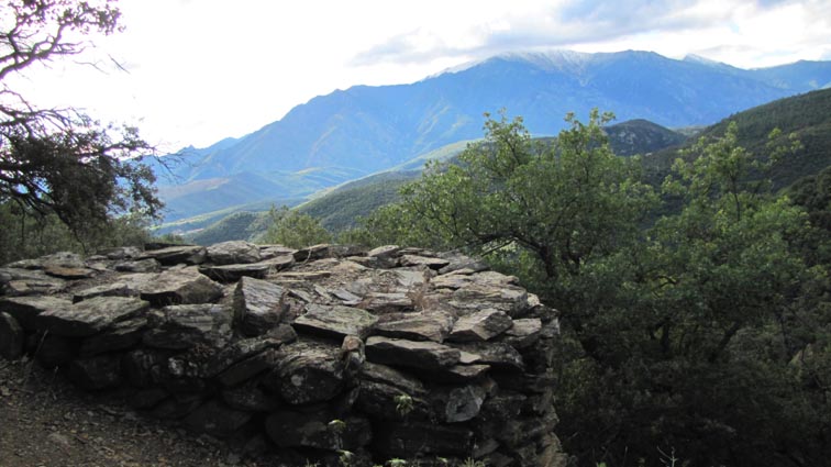 Nous remarquons les vestiges d'une construction cylindrique en pierres sur la droite du chemin. Le massif du Canigou est enneigé.