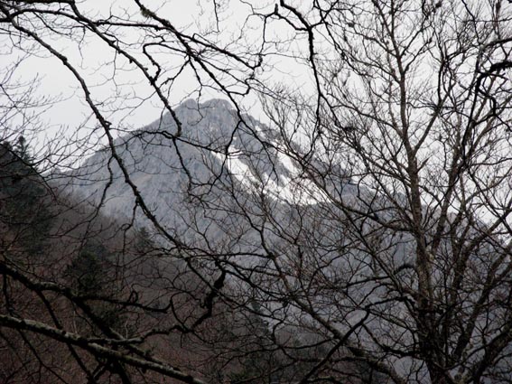 Nous voyons le Roumendares sur notre droite à travers les arbres, encore bien enneigé sur sa face Nord.