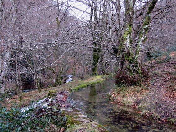 Canal et ruisseau en contre-bas