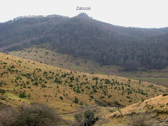 Nous pouvons voir la cime du Zabozé.