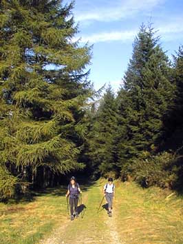 Laurence et Nadette sortent de la forêt.