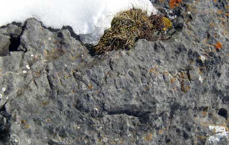 Le nom d'un berger gravé sur la roche : "Pierre Secinte".