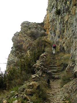 Escalier taillé dans la roche, bordé par un muret en pierres sèches.