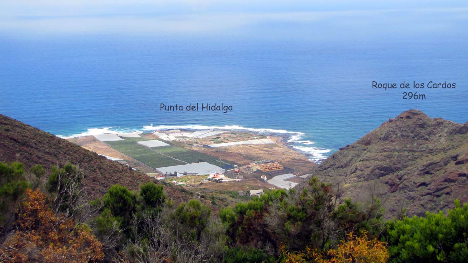 La vue sur la Punta del Hidalgo est un peu gâchée par les serres en plastique qui envahissent le paysage...